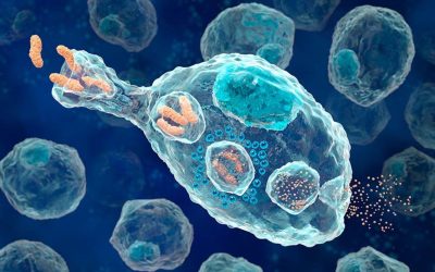 ENZIBIÓTICOS: El futuro de la medicina