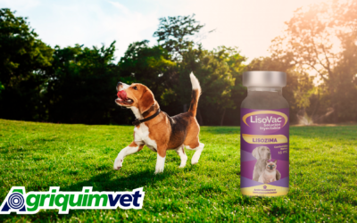 Parvovirus Canino: El Impacto en el Sistema Inmunológico