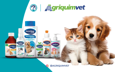 Los Primeros Pasos De Mi Mascota: EL ÉXITO DE UNA VIDA SALUDABLE