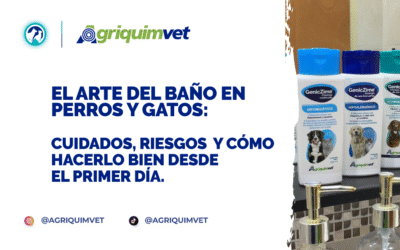 El arte del baño en perros y gatos: cuidados, riesgos y cómo hacerlo bien desde el primer día.