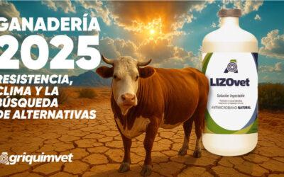 Ganadería 2025: resistencia, clima y la búsqueda de alternativas