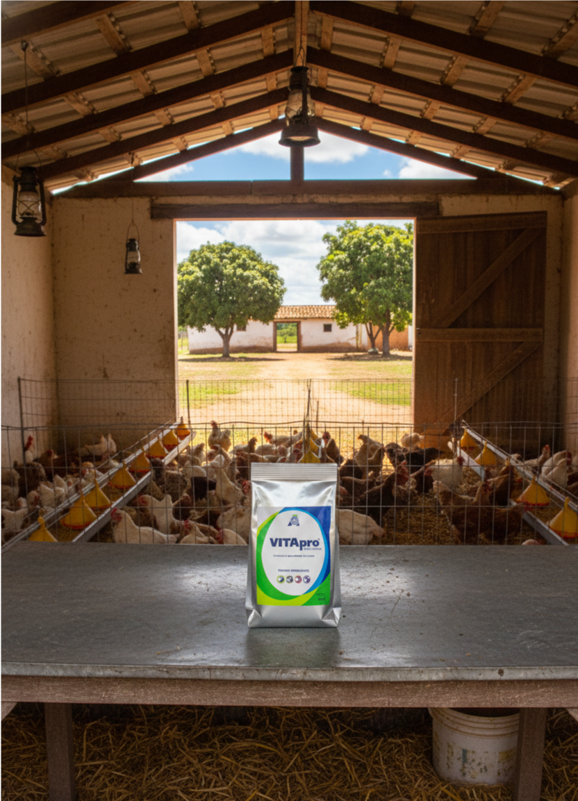 Gemini_Generated_Image_p4ayiap4ayiap4ay2