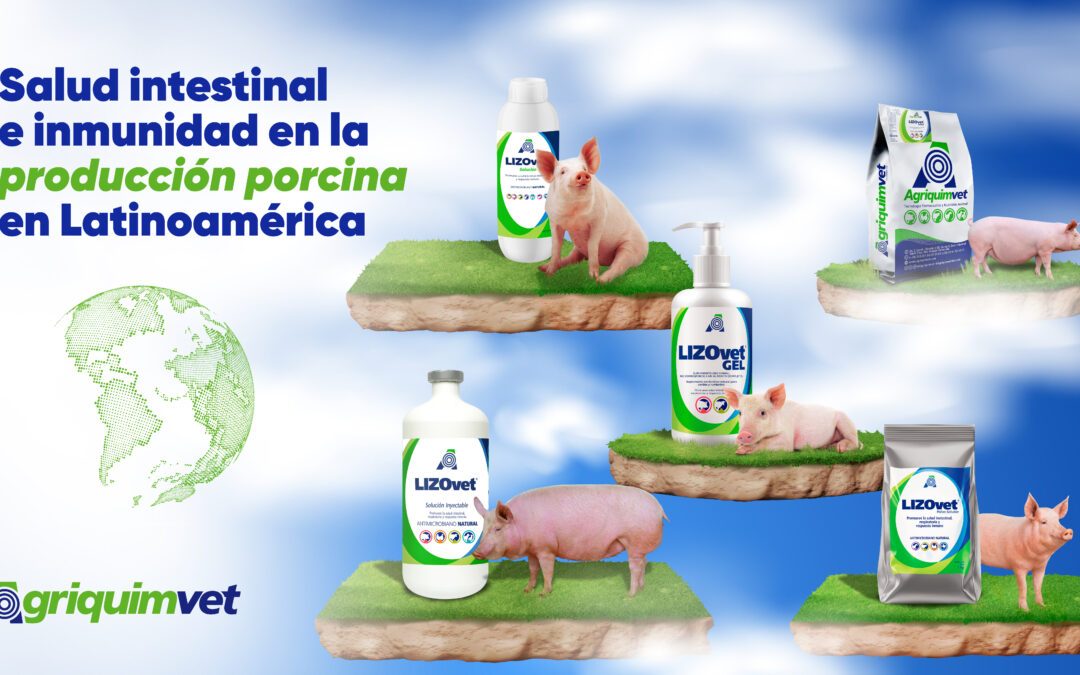 Salud intestinal e inmunidad en la producción porcina en Latinoamérica.